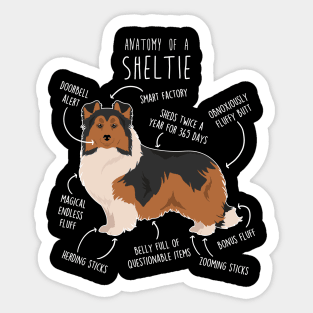 Sheltie Shetland Sheepdog Anatomy Sticker